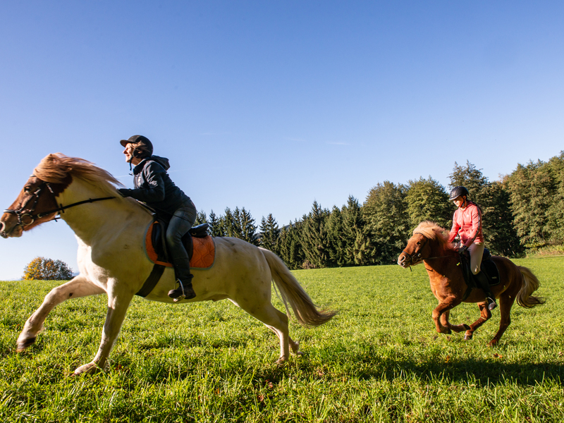 Zwei Reiterinnen reiten im Sonnenschein im Galopp über ein Feld .
