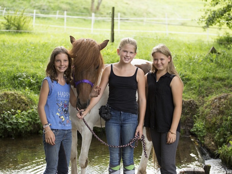 Drei Mädchen stehen mit Pferd in einem kleinen Bach. Im Hintergrund ist eine schöne Sommerwiese zu sehen.