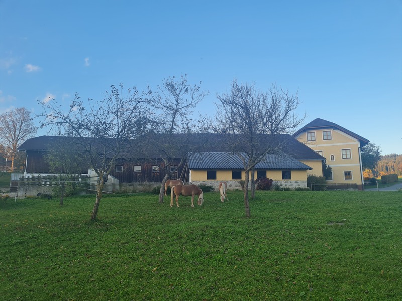 Pferderast Ortlehenhof