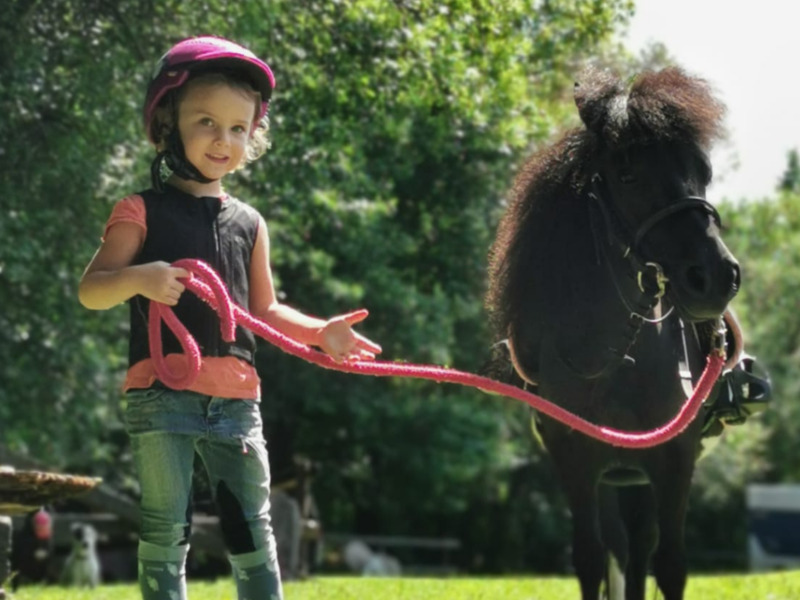 Ein lachendes Kind führt ein Pony