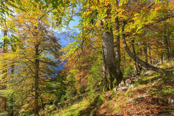 UNESCO Welterbe Tour: Im Bodinggraben