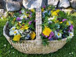 Korb mit verschiedenen Kräutern und Blumen