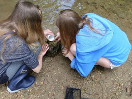 zwei Mädchen entdecken Kleinstlebewesen im Bach