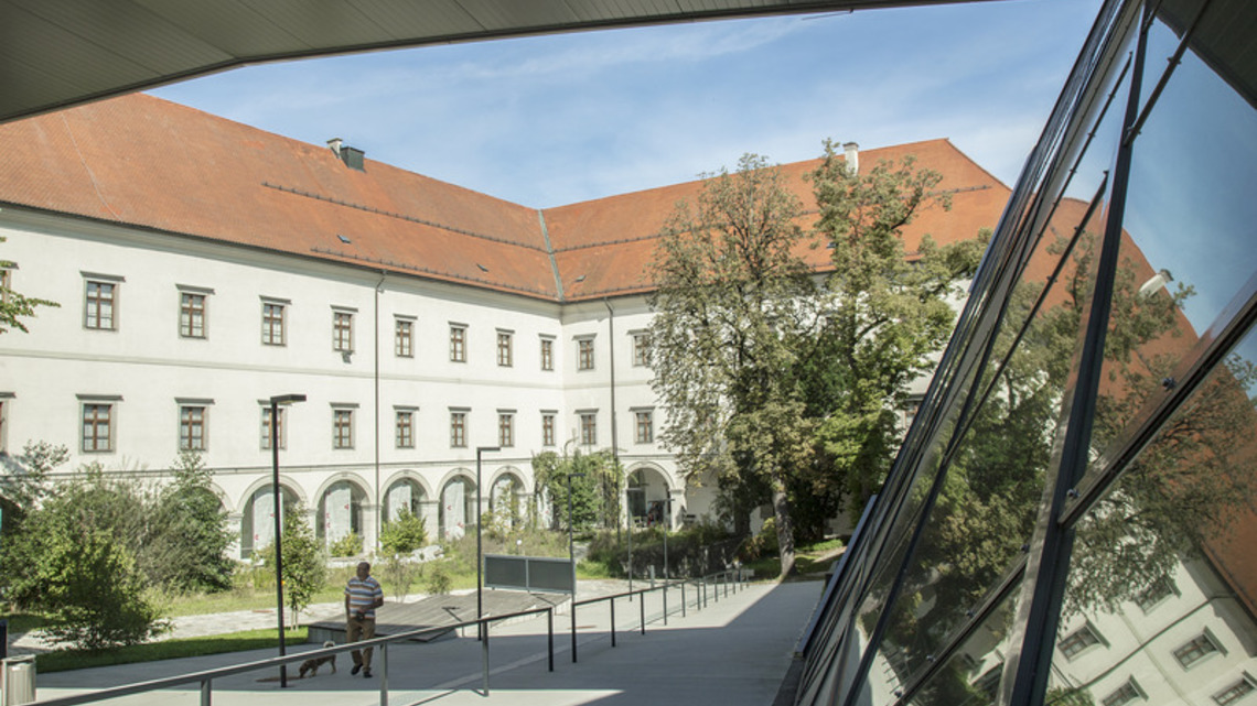 Castle Museum current exhibition