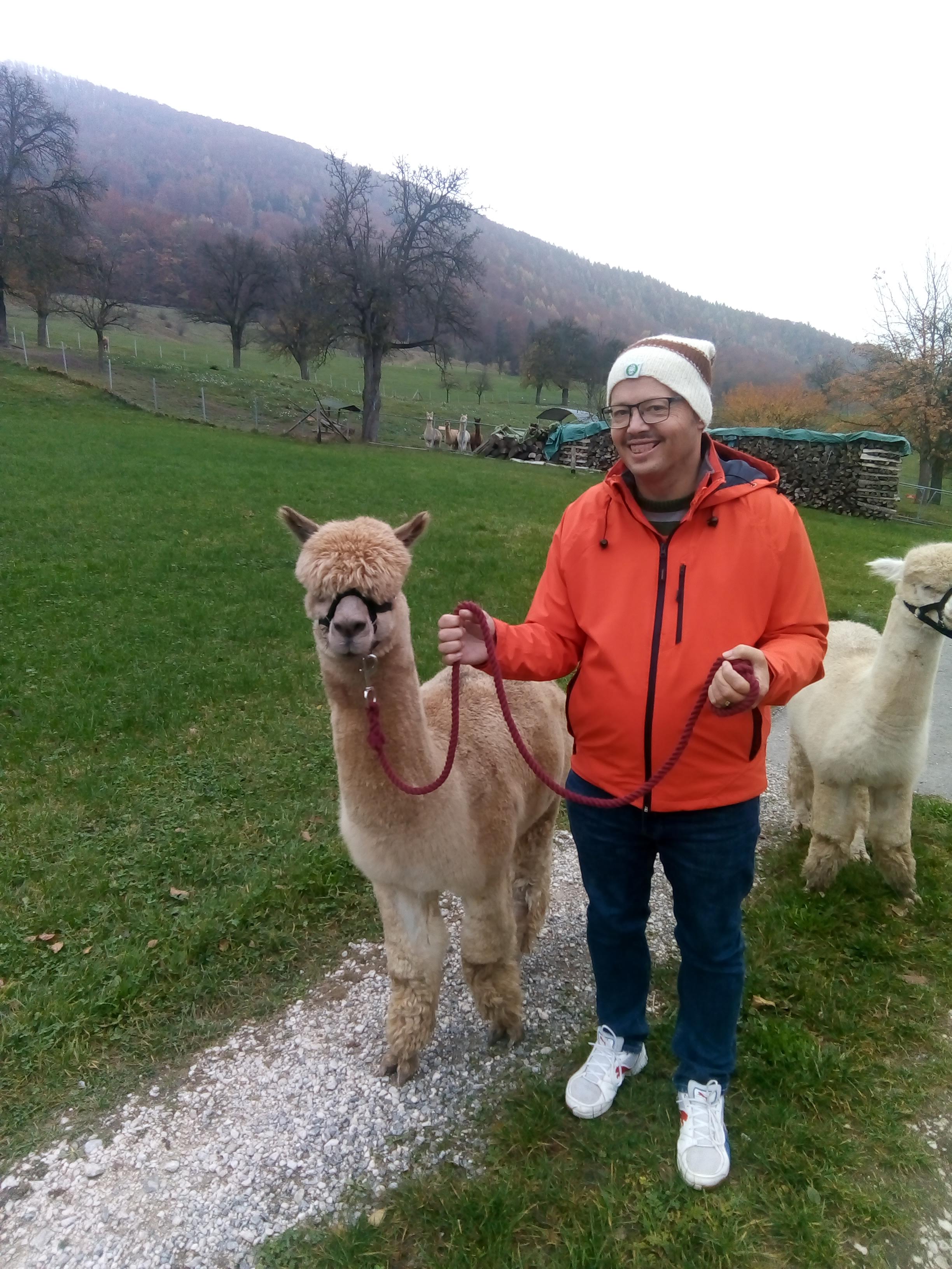 Alpaka Wanderung in St. Ulrich