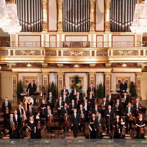 Wiener Johann Strauss Orchester & Alfred Eschwé