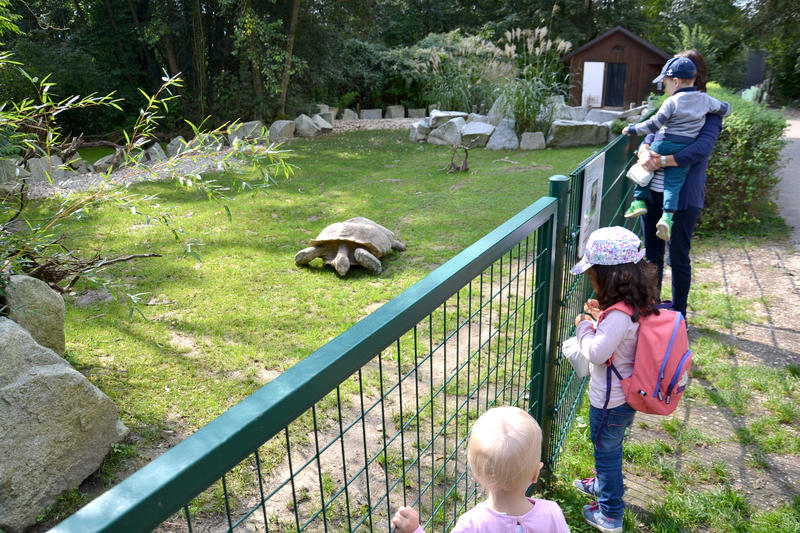 Zoo Linz