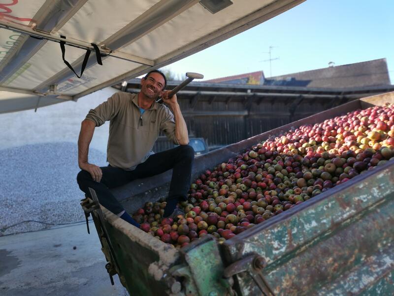 Obstpressfest - Hanslauer Hof