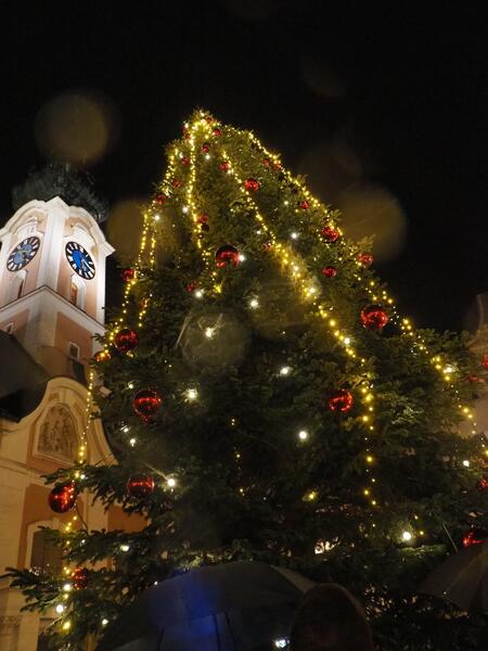 Eröffnung Weihnachtsdorf mit Übergabe des Weihnachtsbaumes