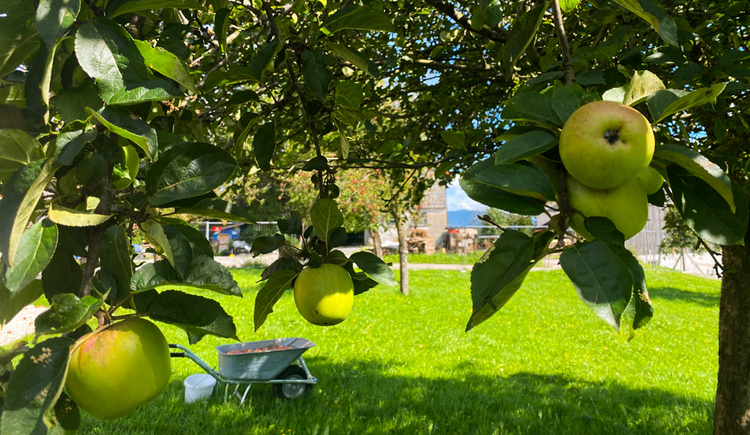 Naturpark Streuobst-Tag