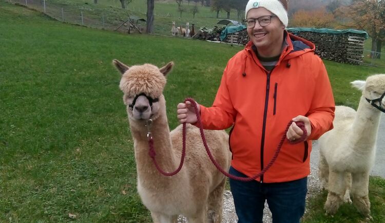 Alpaka Wanderung in St. Ulrich