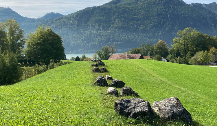 25 Jahre Land Art Mondsee