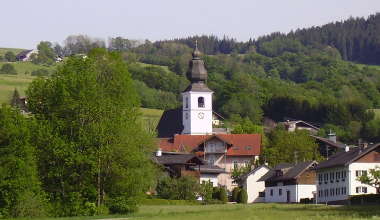 Frühschoppen der Union Zell am Moos