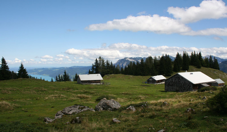 Vormauermesse